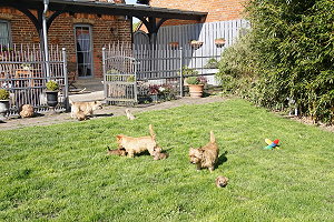 Cairnwurf K- 28.4.2025 019 - Kopie.jpg
