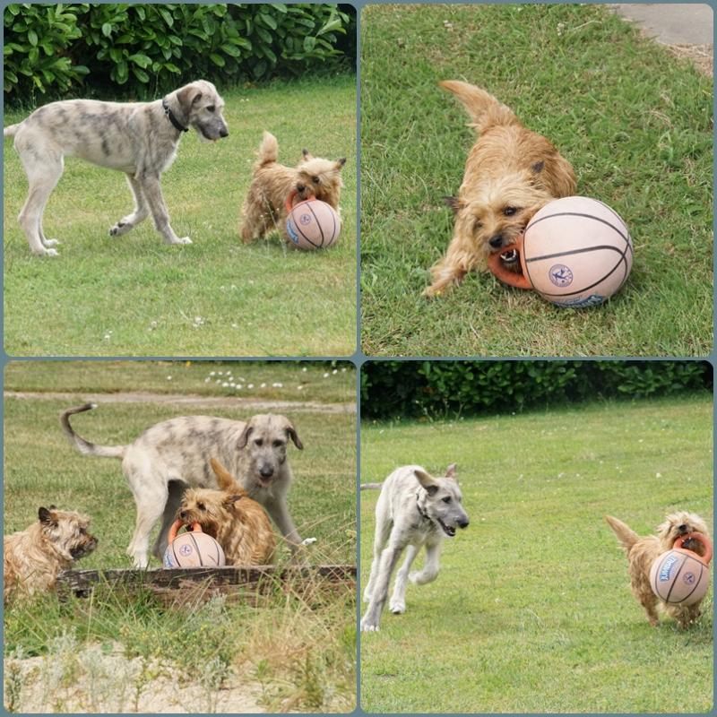 ball1.jpg