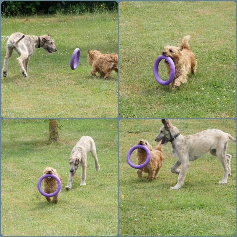 lila ring.jpg