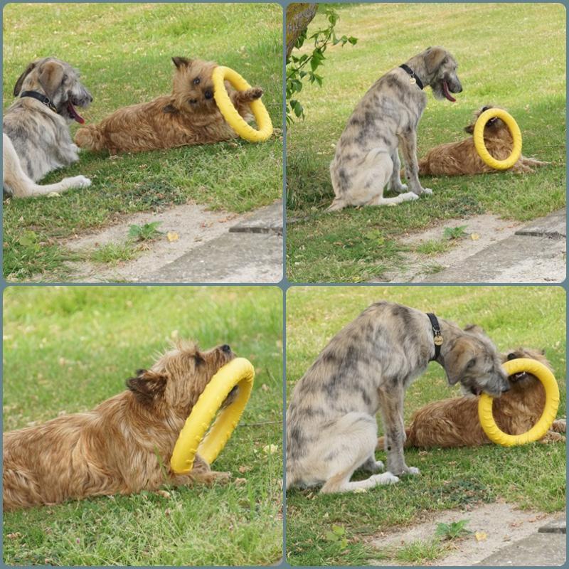 ring23.jpg