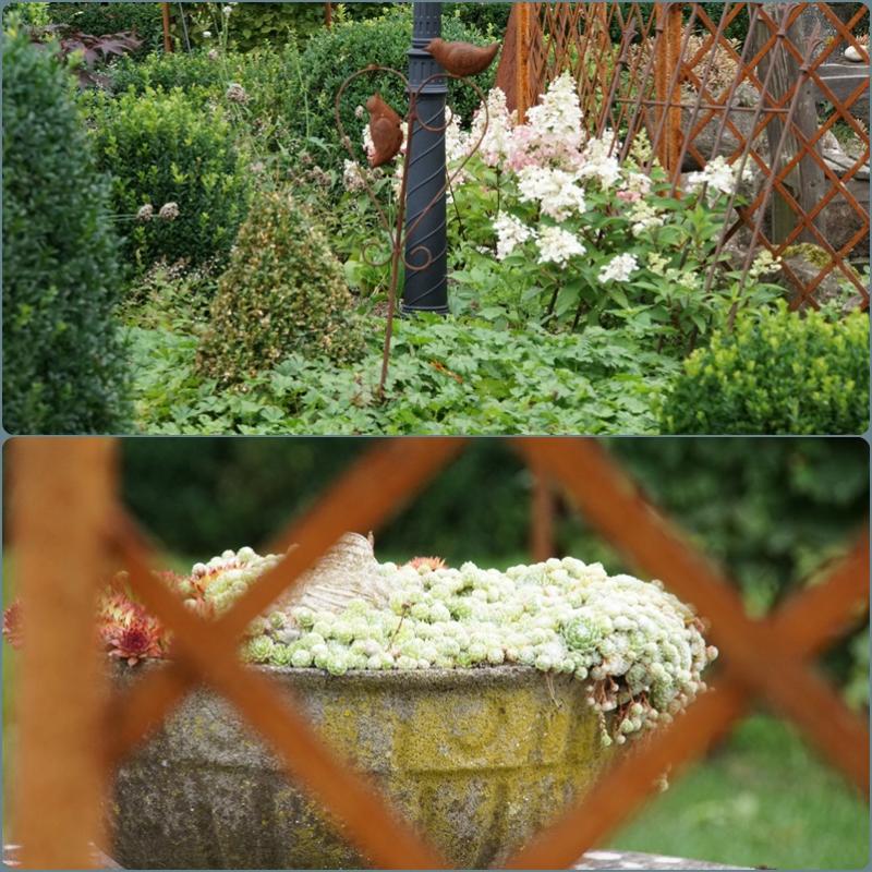 rost23.jpg