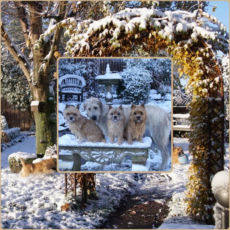 schnee23.jpg
